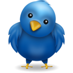 Obserwuj nas na Twitterze